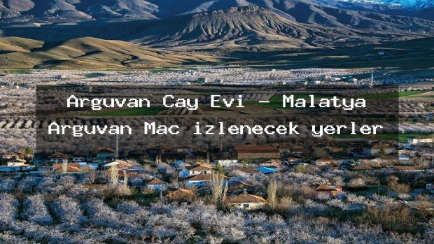 Arguvan Çay Evi – Malatya Arguvan Maç izlenecek yerler