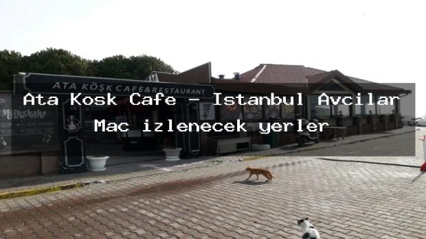 Ata Kosk Cafe – İstanbul Avcılar Maç izlenecek yerler
