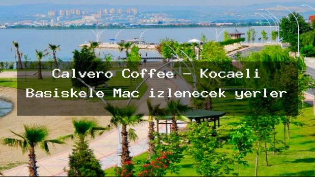 Calvero Coffee – Kocaeli Başiskele Maç izlenecek yerler
