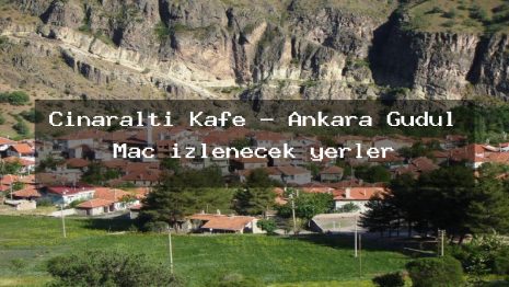 Çınaraltı Kafe – Ankara Güdül Maç izlenecek yerler