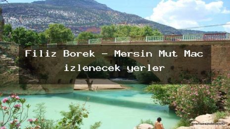 Filiz Börek – Mersin Mut Maç izlenecek yerler
