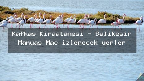 Kafkas Kıraatanesi – Balıkesir Manyas Maç izlenecek yerler