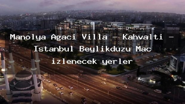 Manolya Ağacı Villa – Kahvaltı – İstanbul Beylikdüzü Maç izlenecek yerler