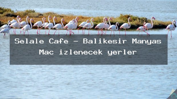 Şelale Cafe – Balıkesir Manyas Maç izlenecek yerler