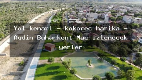 Yol kenarı – kokoreç harika – Aydın Buharkent Maç izlenecek yerler